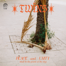 Twins - Healing Dreams