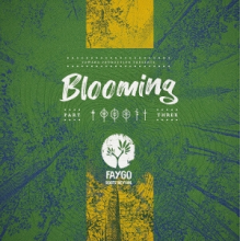 Faygo - Blooming #3