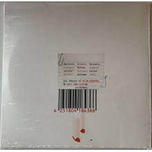 Puestel, Rico - All Day I Steal This Album