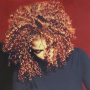 Jackson, Janet - Velvet Rope