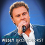 Wesly Bronkhorst - Zo Verwend