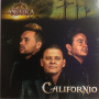 Ancora - Californio