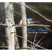 Irabagon, Jon - Blue Hour