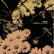 Weak - Strangers At Home