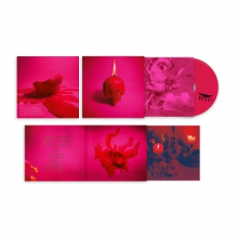 Arcade Fire - Pink Elephant