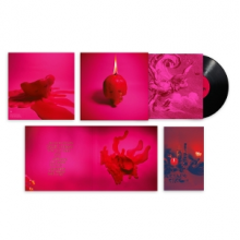 Arcade Fire - Pink Elephant