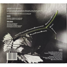 Torul - Superposition