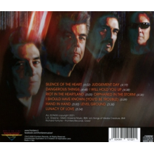 Fortune - Level Ground