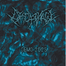 Discarnage - Demo 2025