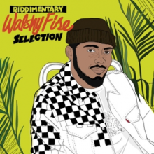 Walshy Fire - Riddimentary Selection
