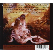 Deadly Snakes - Porcella