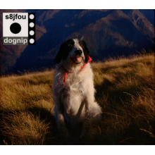 S8jfou - Dognip