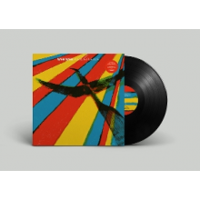 Web Web - Plexus Plexus