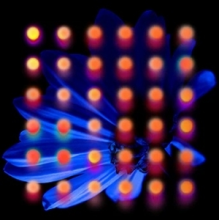 Anberlin - Nevertake