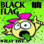 Black Flag - What the...