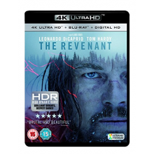 Movie - Revenant (2016)