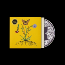 Glacier, John - Like a Ribbon