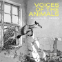 Dessy, Jean-Paul - Jean-Paul Dessy: Voices of the Animals