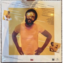 Roy Ayers Ubiquity - Everybody Loves the Sunshine