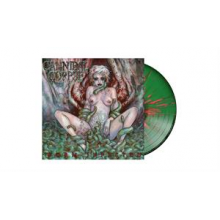 Cannibal Corpse - Worm Infested