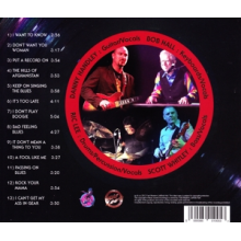 Ric Lee's Natural Born Swingers - Put a Record On