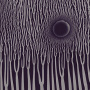 Sunn O))) - The Grimmrobe Demos
