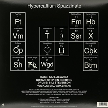 Descendents - Hypercaffium Spazzinate