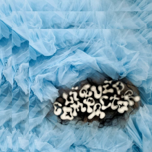 Penny & the Pits - Liquid Compactor