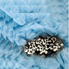 Penny & the Pits - Liquid Compactor