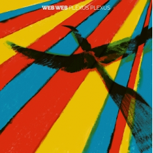Web Web - Plexus Plexus