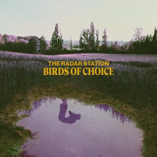 Radar Station - Birds of Choice