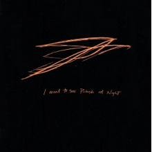 Bird, Andrew - I Want To See Pulaski At Night