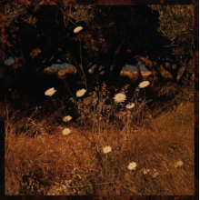 Szun Waves - Earth Patterns