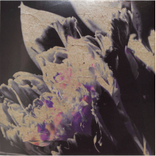 V/A - Traversee 04 - Moving Silhouettes