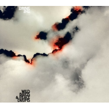 Wildbirds & Peacedrums - Snake