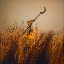 Wolf, Patrick - Crying the Neck