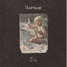 Wunderhorse - Cub