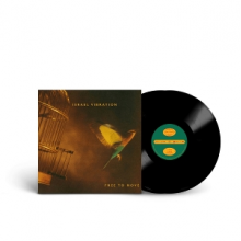 Israel Vibration - Free To Move