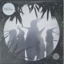Penguin Cafe - Rain Before Seven...