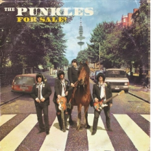 Punkles - For Sale!