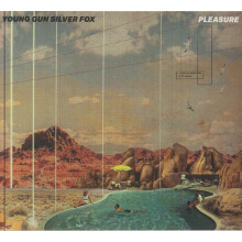 Young Gun Silver Fox - Pleasure
