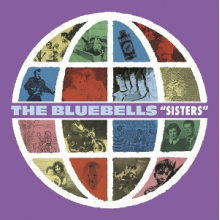 Bluebells - Sisters