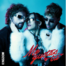 K!Ngdom - Me Gustas Tu