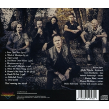 Leverage - Determinus