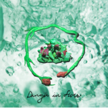 Wombo - Danger In Fives