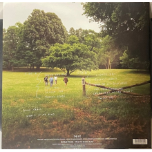 Arcy Drive - The Pit