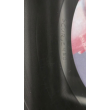 Daisy the Great - The Rubber Teeth Talk