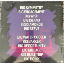 Pet Symmetry - Big Symmetry