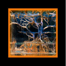 Batu - Question Mark