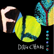 Dixie Chicks - Fly